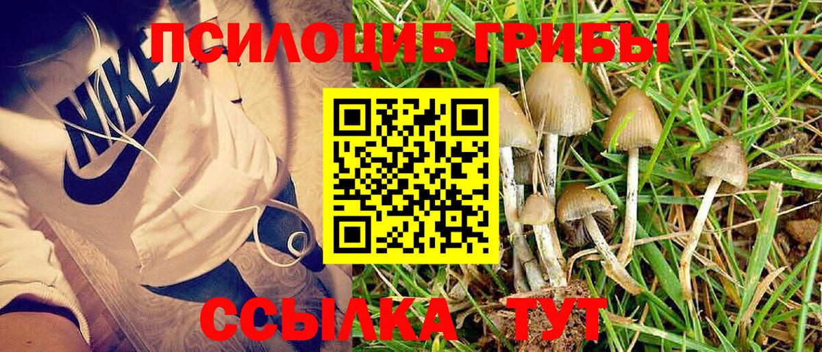 Донецк  Псилоцибиновые грибы Magic Shrooms  Вход с VPN 