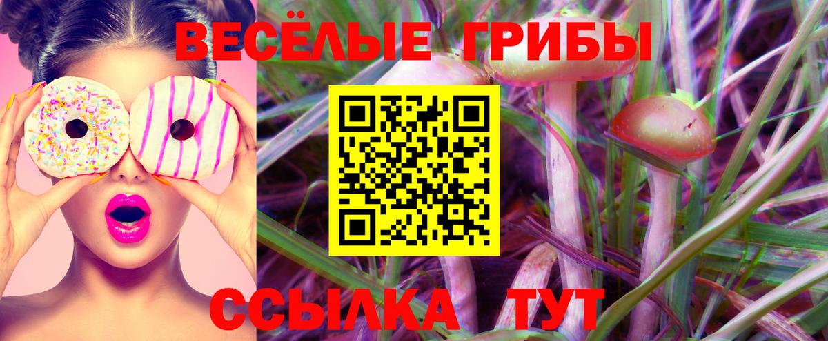 Галлюциногенные грибы Cubensis Донецк